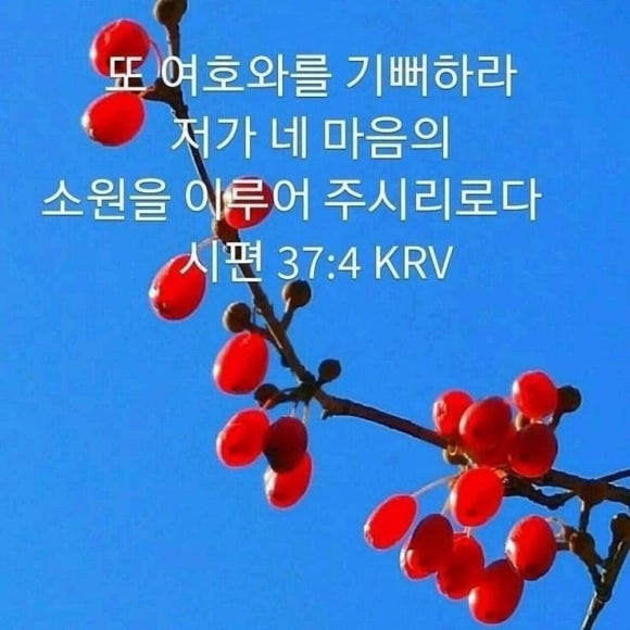 창화 이미지