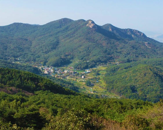 산성누룩 이미지