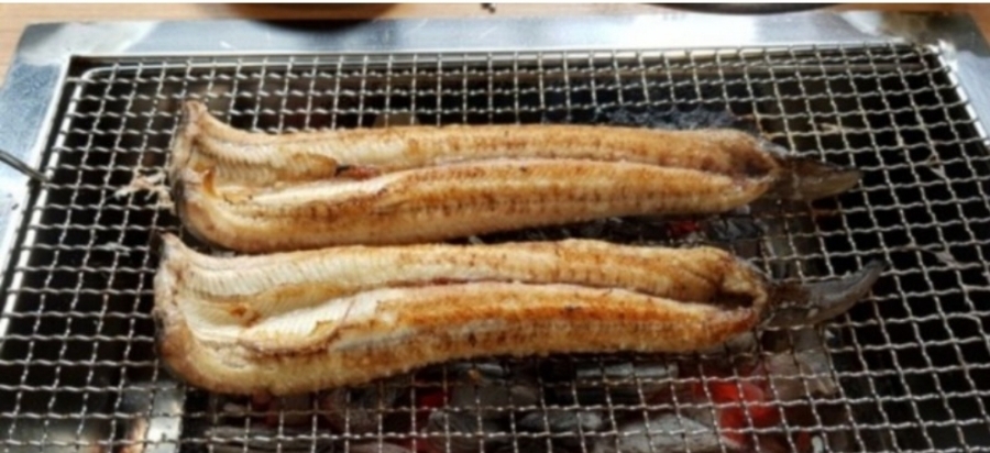 풍천숯불민물장어구이 이미지