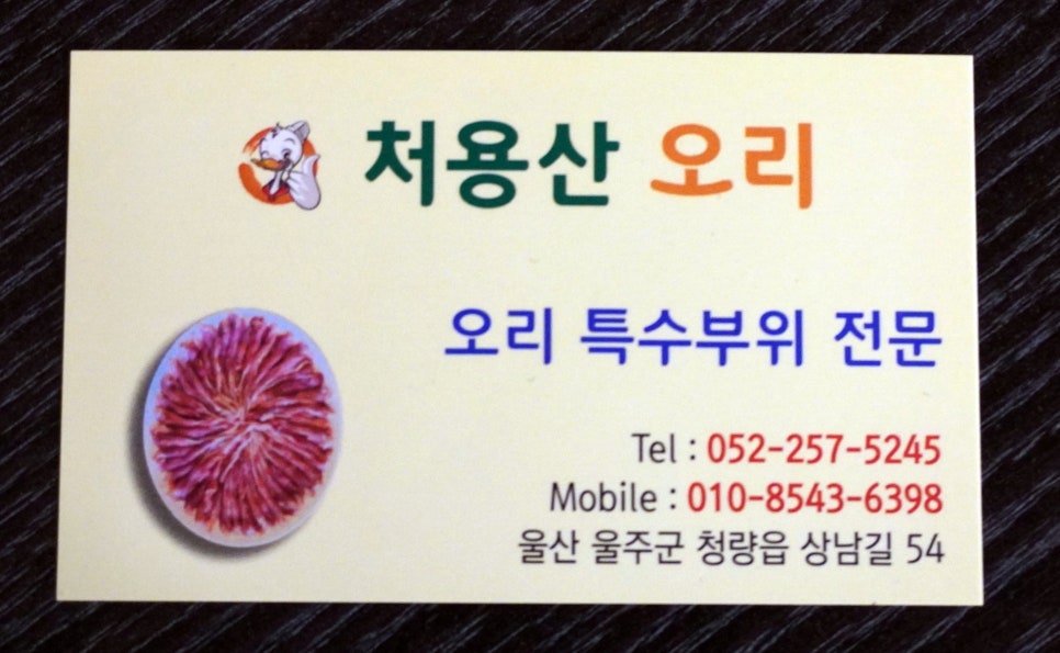 처용산오리 이미지