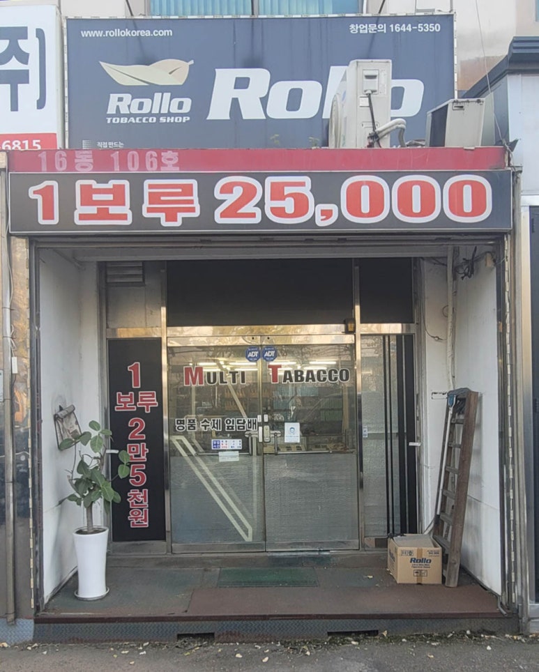 롤로코리아 이미지