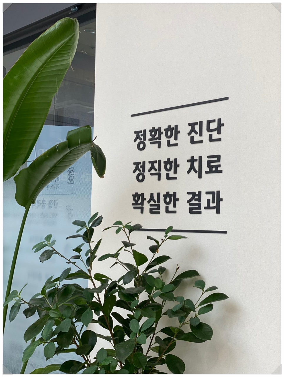 고려신경외과의원 이미지