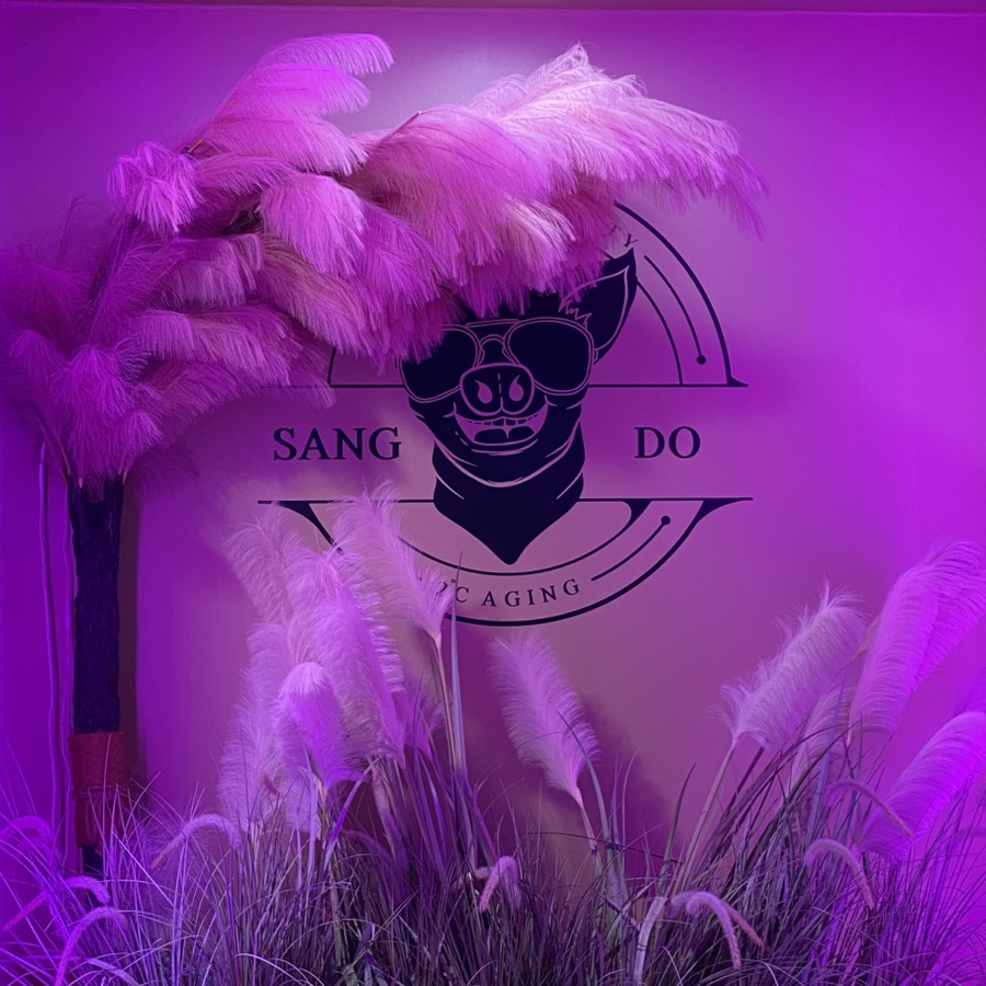 2도에이징 이미지