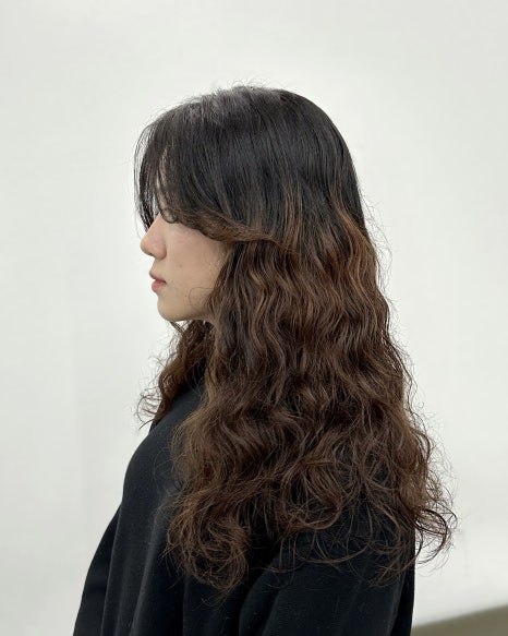 스테디무드 이미지
