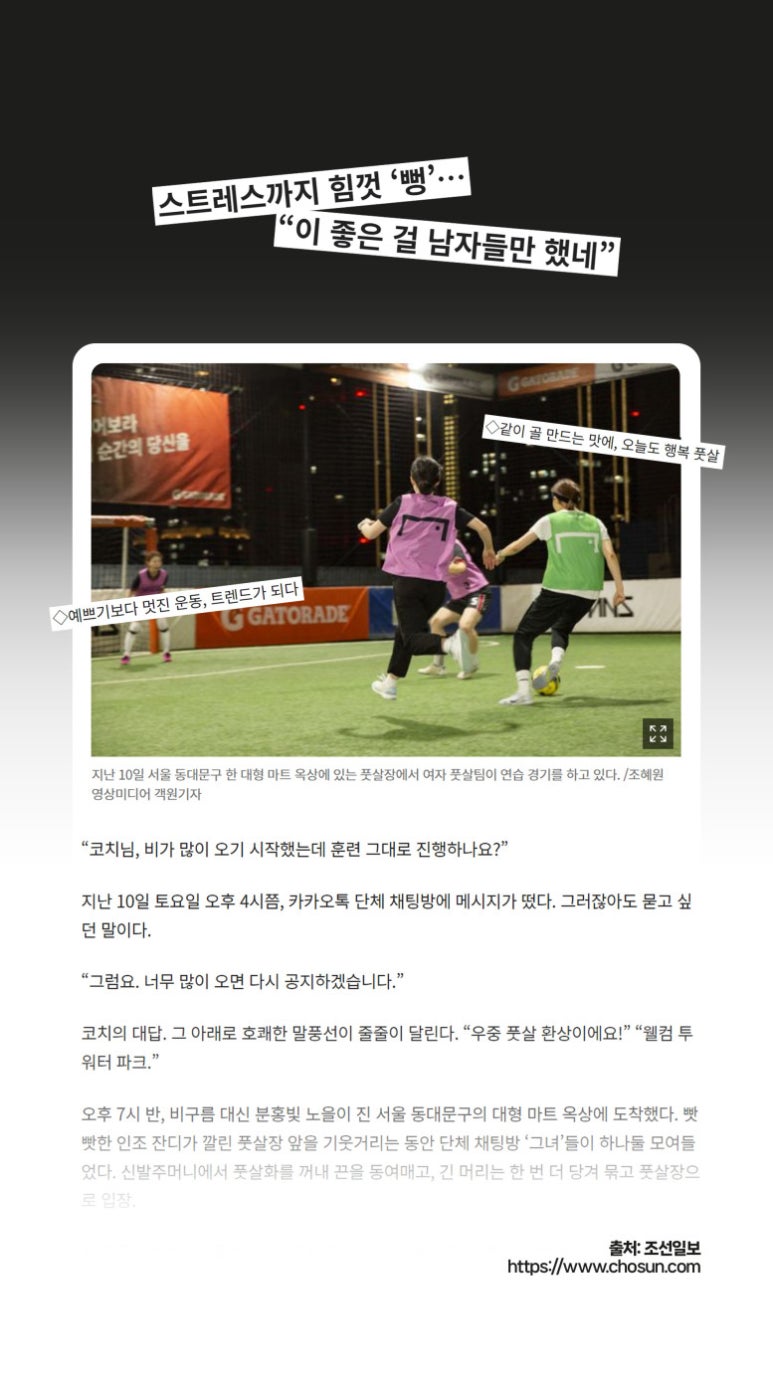 샤인스포츠 이미지