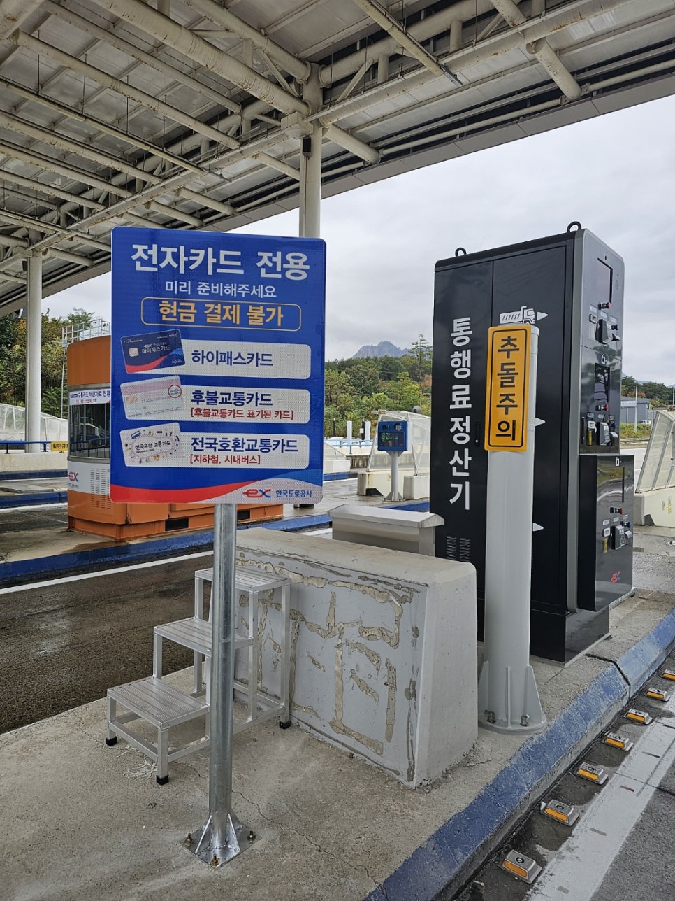 꽃은봄이다디자인 이미지