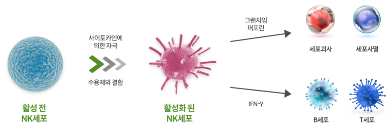 바이오랩 주식회사 이미지