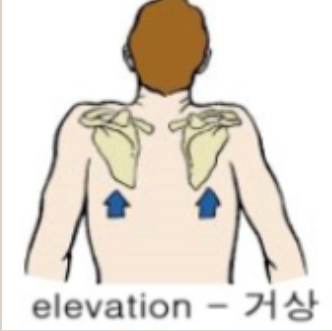 몸편한세상 이미지