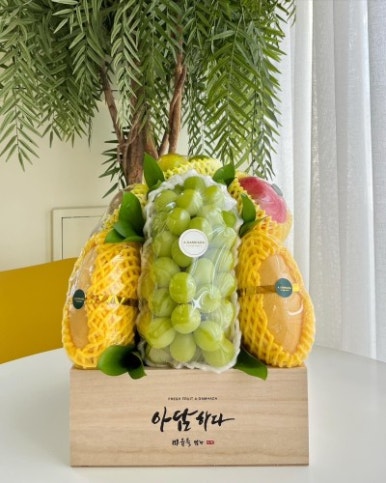 아담하다 이미지