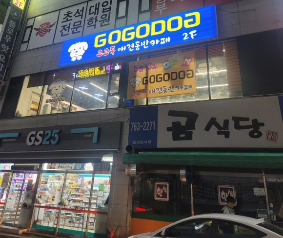 고고독 이미지