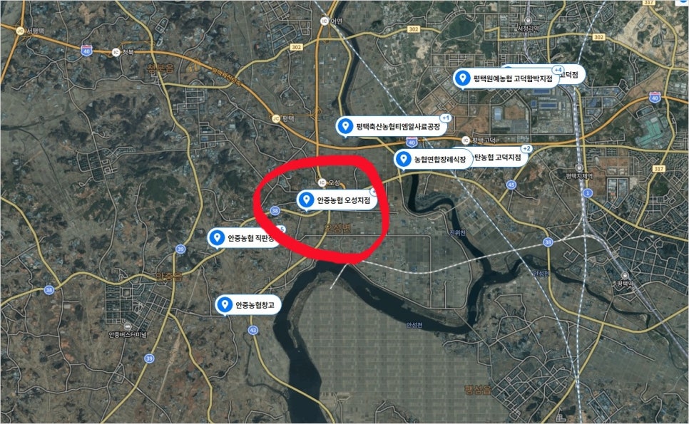 오성제일의원 이미지