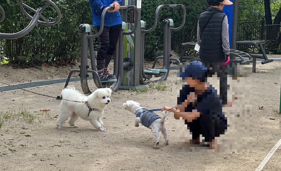 숭인신발 이미지