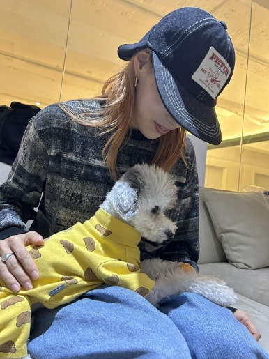 뮤트디오 이미지