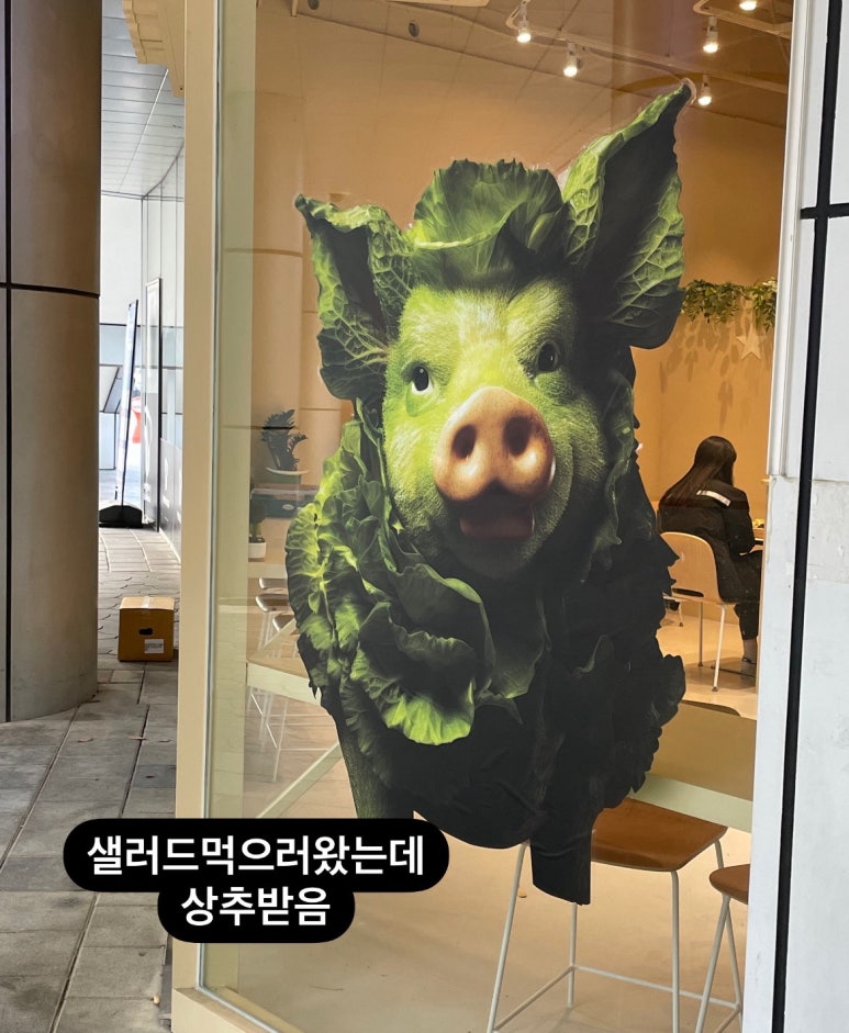 샐위치 이미지