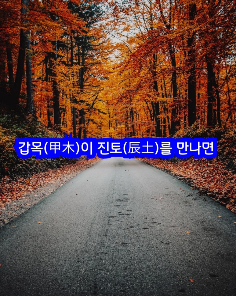 진토목 이미지