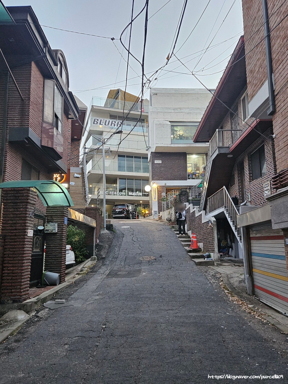 데빌스바지니코 이미지