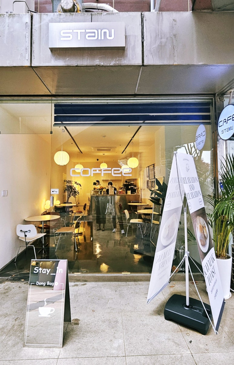 스테인동백 이미지