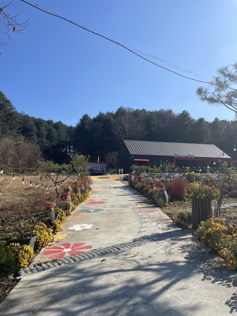 리버972 이미지