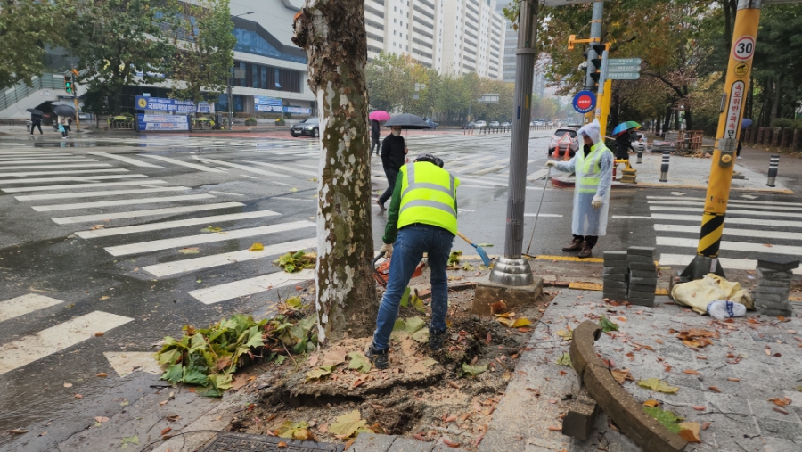 광명광성초등학교 이미지