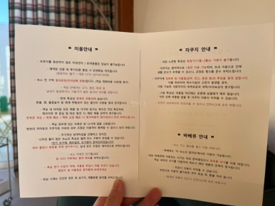 스테이아른 이미지