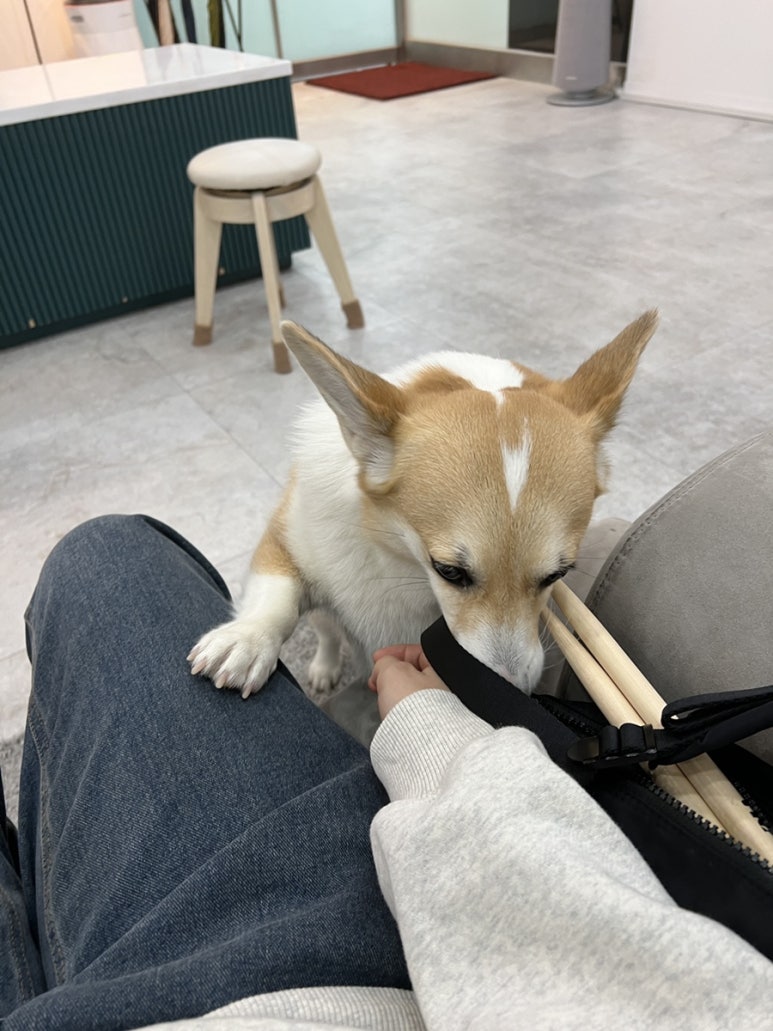 라젯트성인전문음악학원 이미지