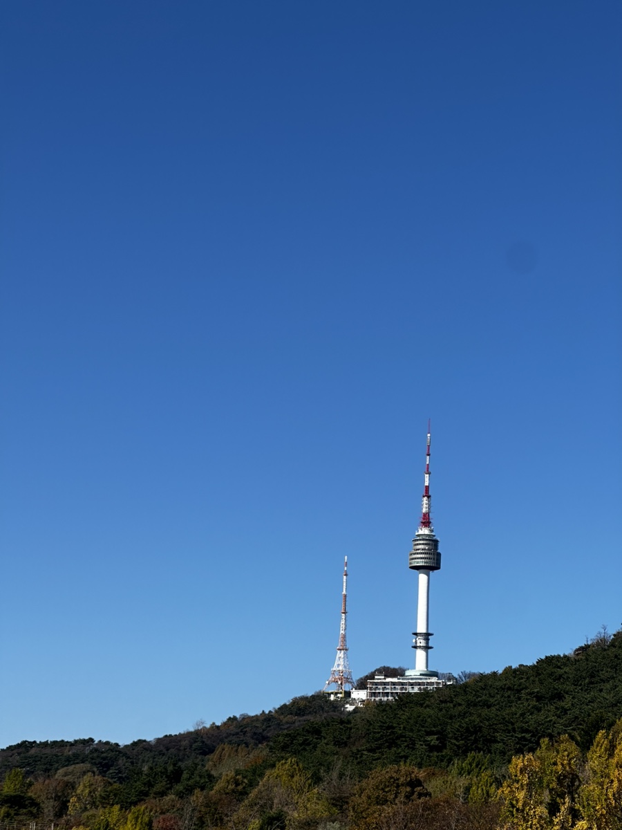 허니딜라이트 이미지