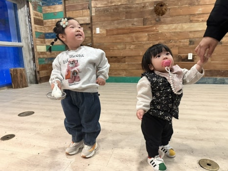 나나모이 이미지
