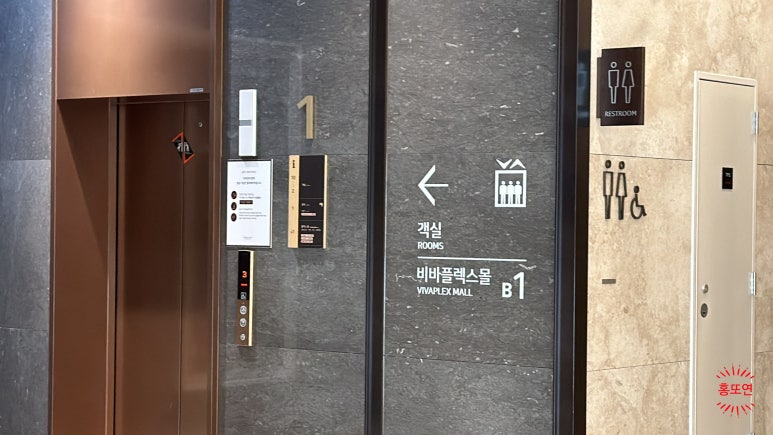 비바플렉스 이미지