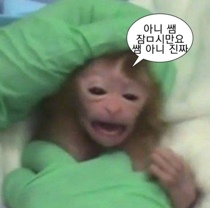 마로니에치과 이미지
