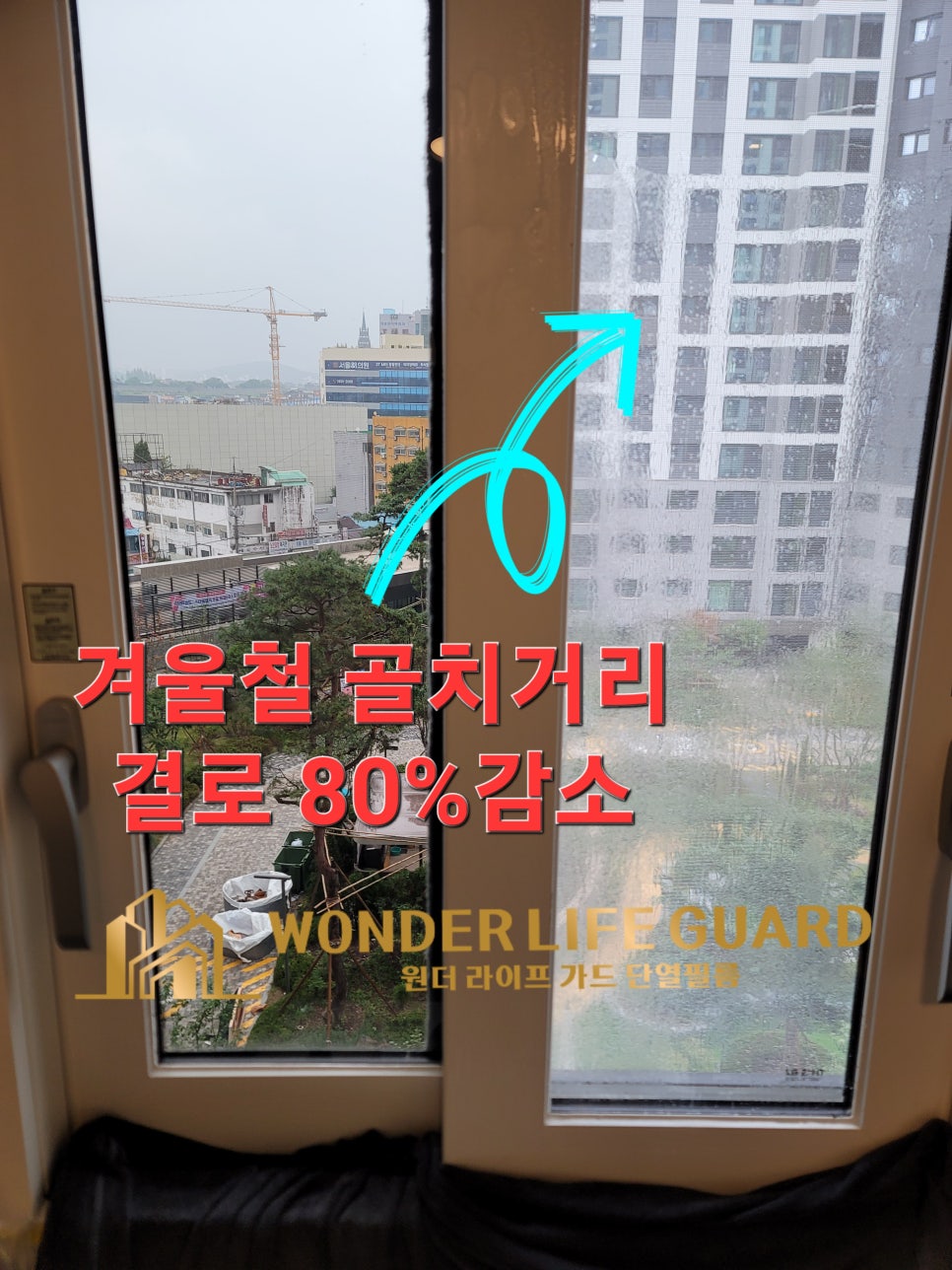 원더 필름 이미지