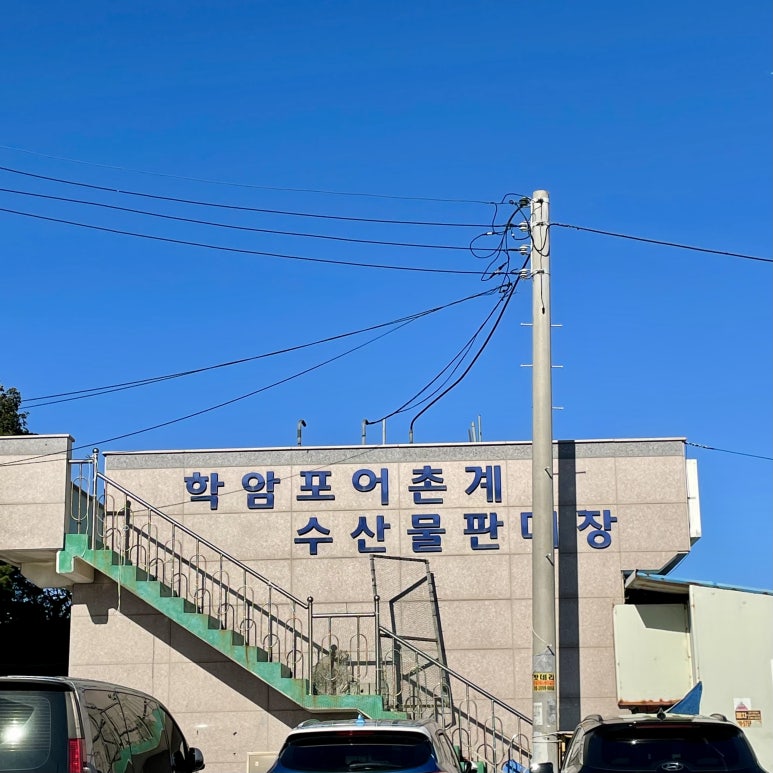 싱싱회판매장 이미지