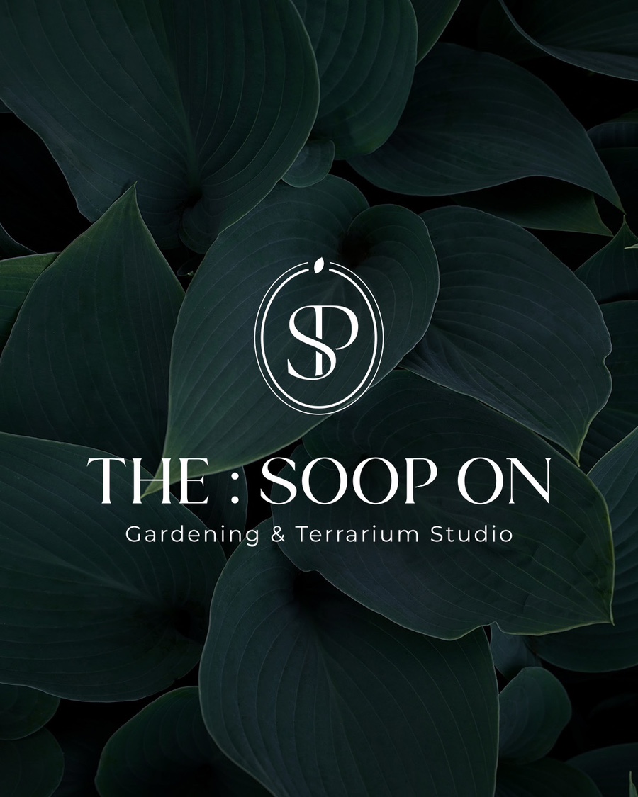 더숲온THESOOPON 이미지