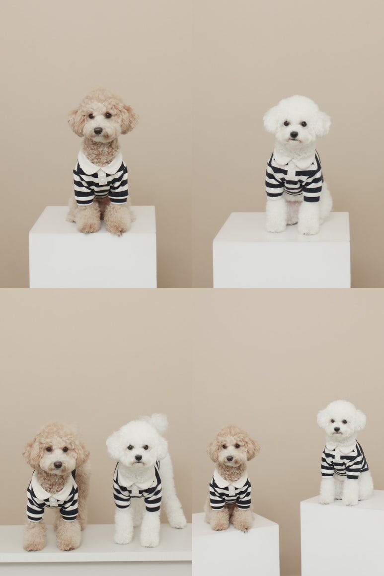 픽앤포토 이미지