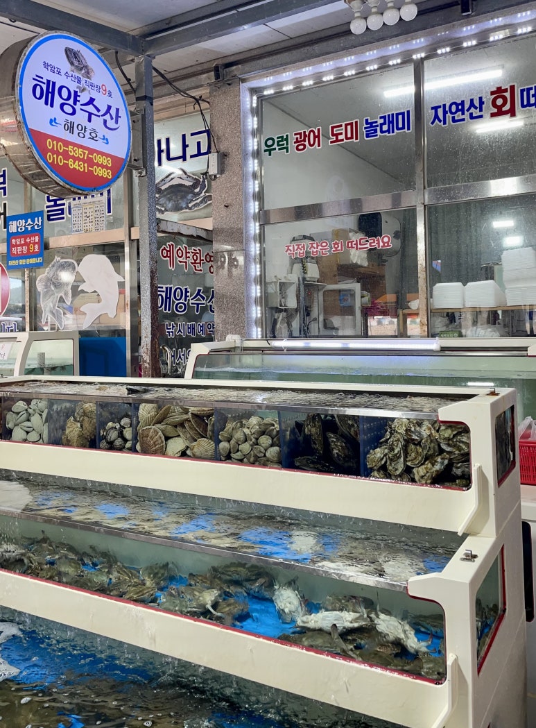싱싱회판매장 이미지