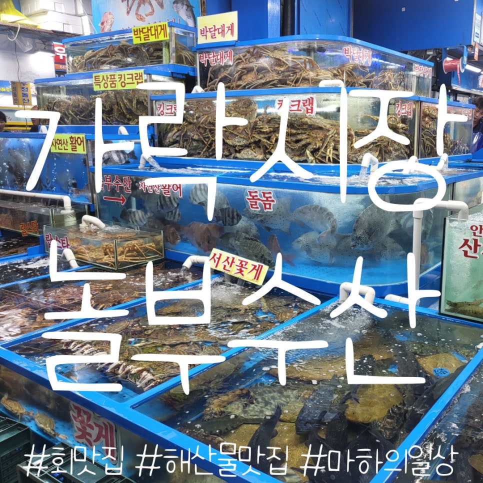정동수산 이미지