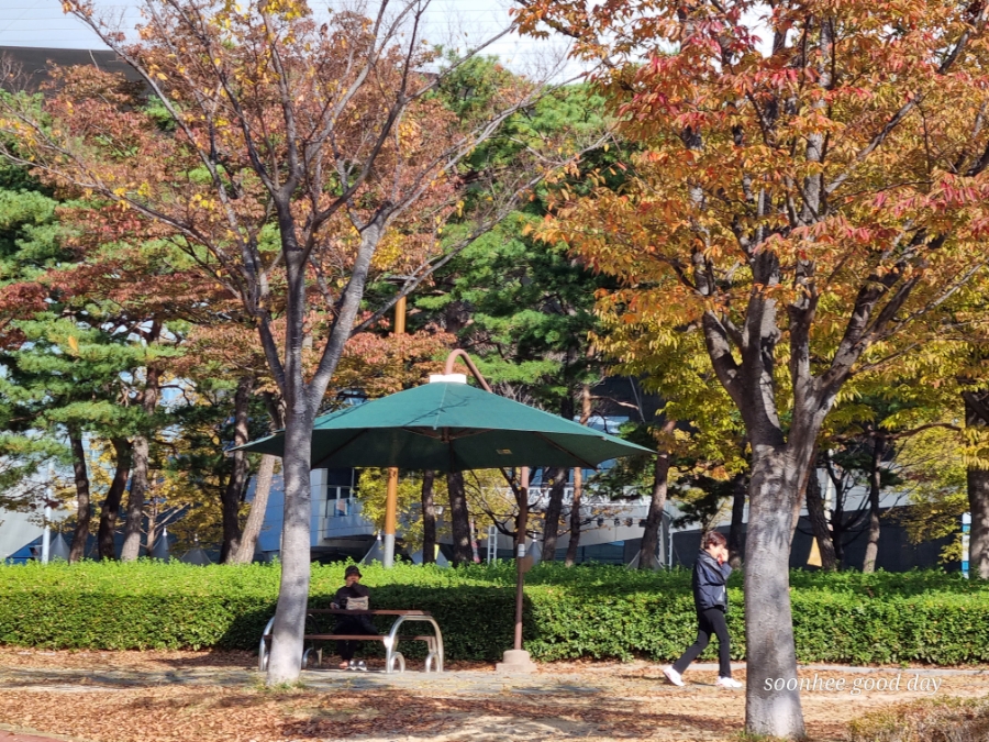 (주)에이스잡 이미지