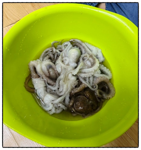 여수오동도조개구이 이미지