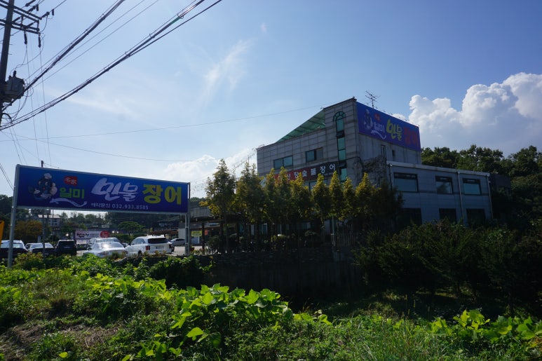 일미민물장어 이미지