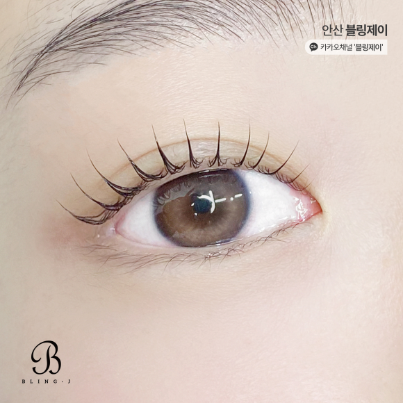 블링데이 이미지