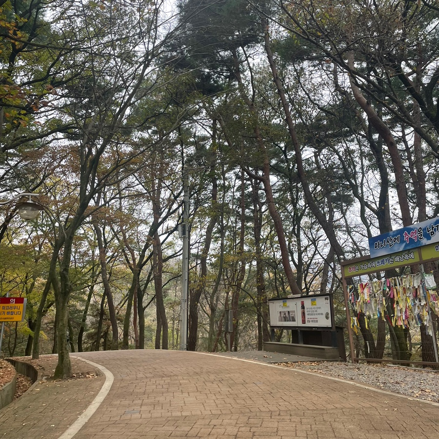 강화도령김밥 이미지