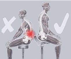 펠리스짐 이미지