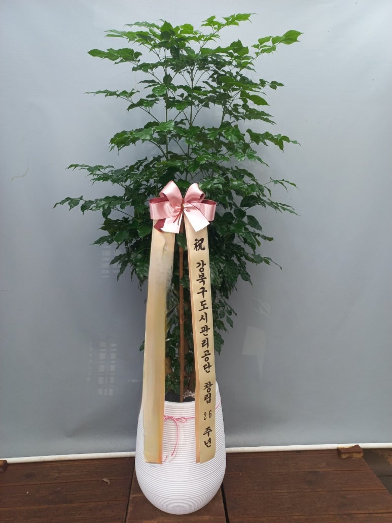 마곡꽃광장 이미지