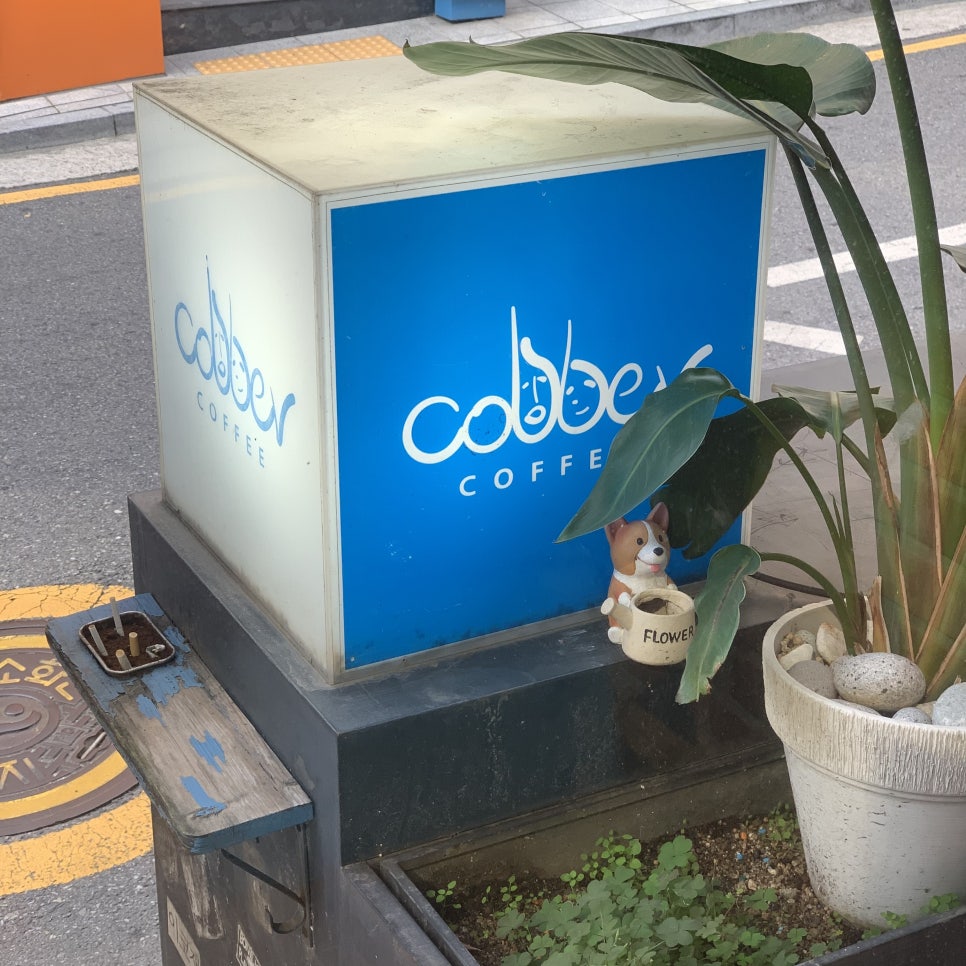버커피 이미지