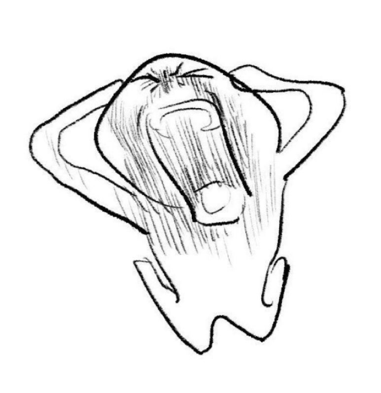 릴리네일 이미지