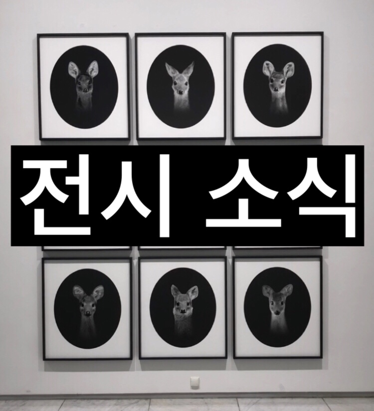 일우정보 이미지