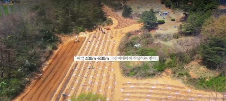 천마에너지 이미지