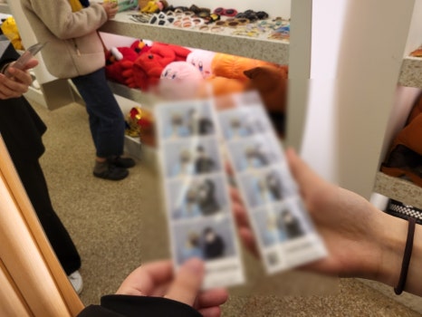 성안길포토시그니처 이미지