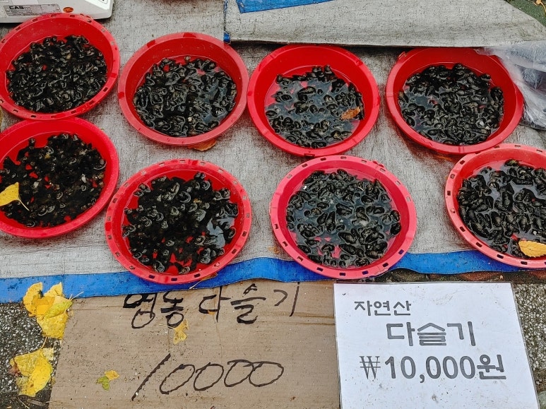 다끼국수 이미지