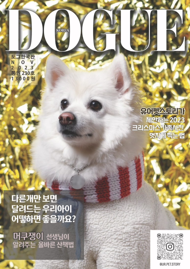 펫토피아 이미지