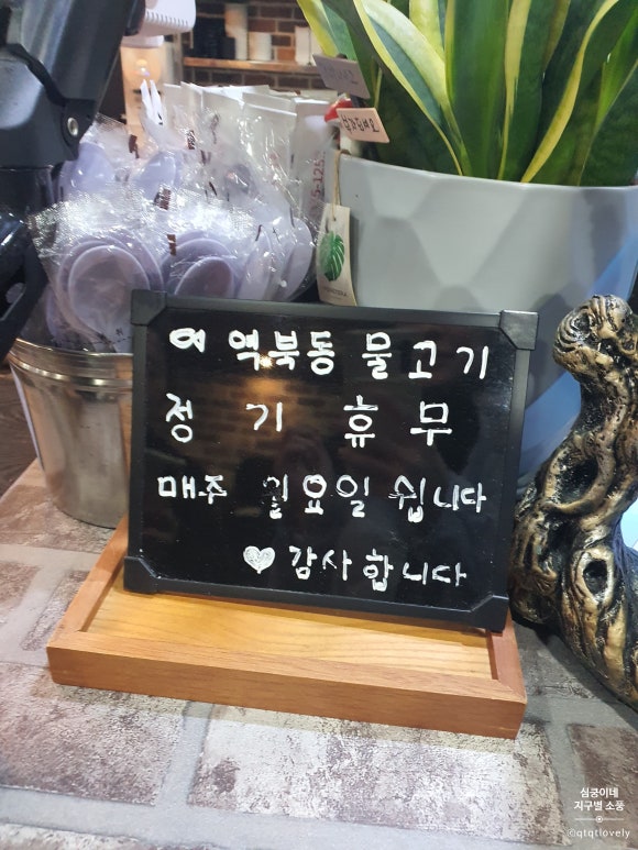 역북동물고기 이미지